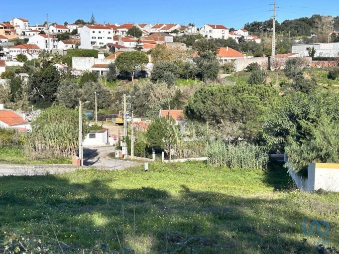 Terreno para Venda em Chamusca e Pinheiro Grande Foto 6
