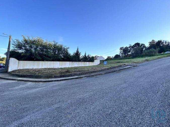 Terreno para Venda em Chamusca e Pinheiro Grande Foto 13