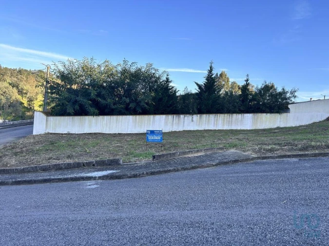 Terreno para Venda em Chamusca e Pinheiro Grande Foto 12