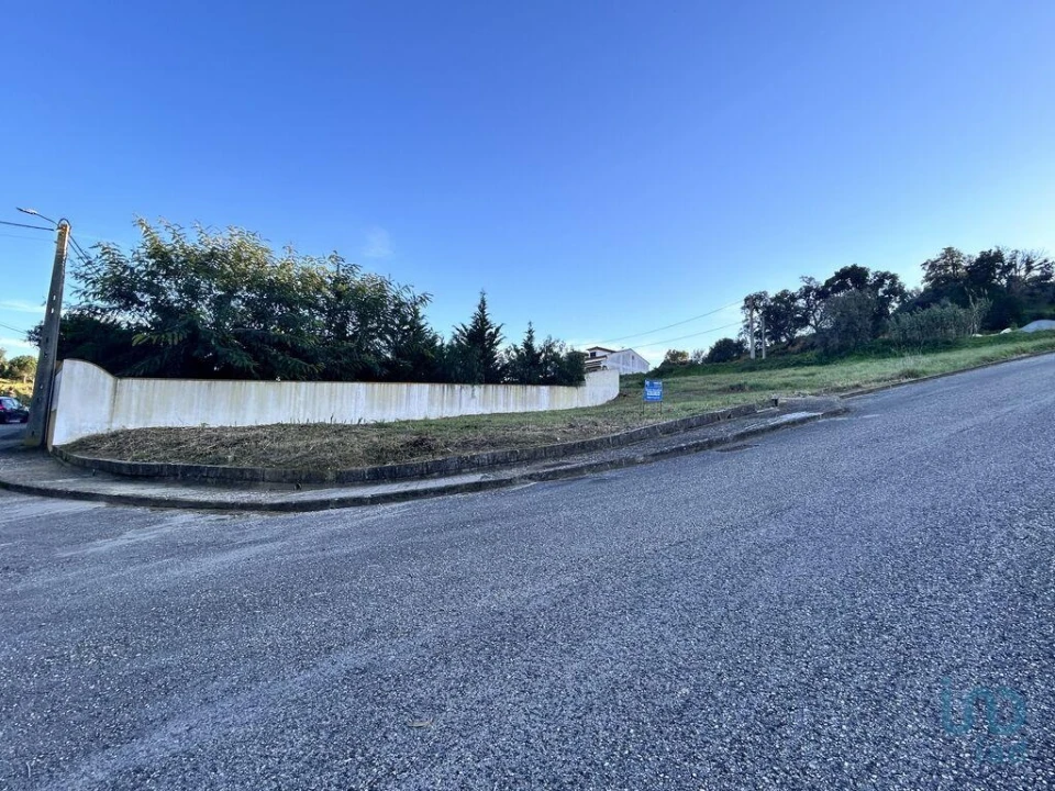 Terreno para Venda em Chamusca e Pinheiro Grande Foto 13