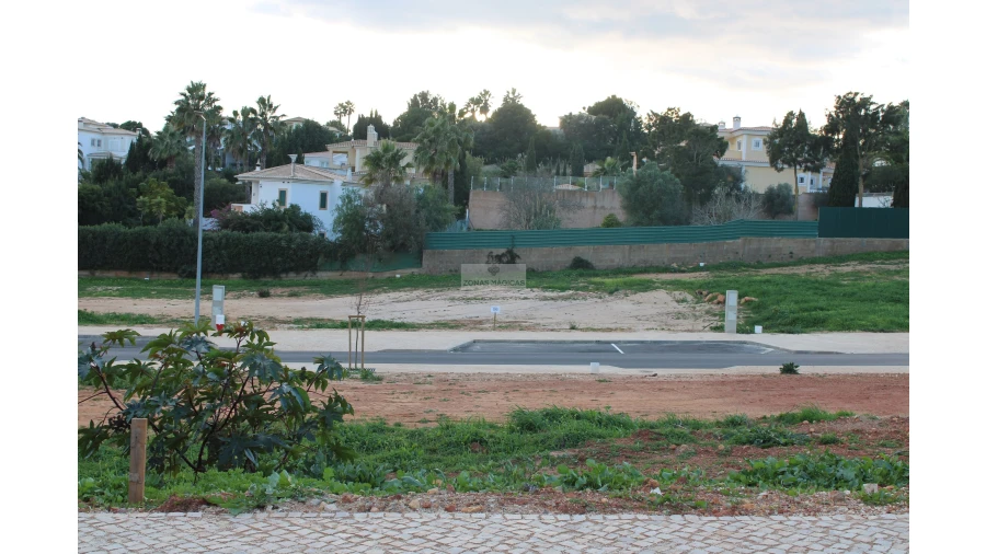 Terreno para Venda em Luz Foto 5