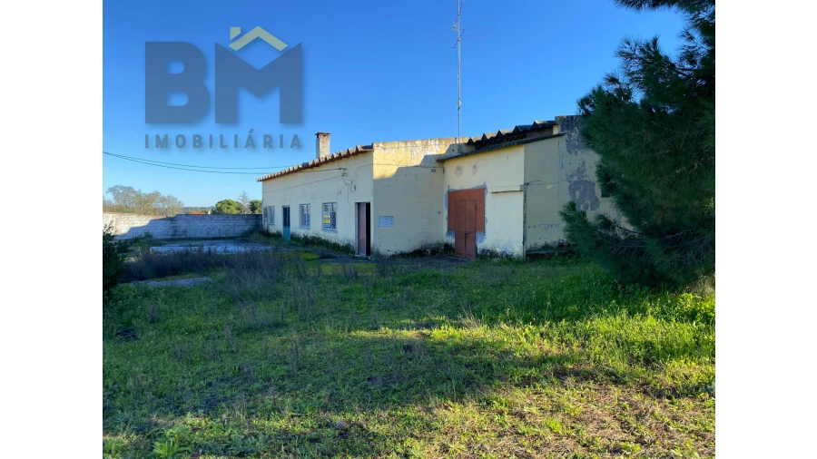 Negócio para Venda em Escalos de Cima e Lousa Foto 4