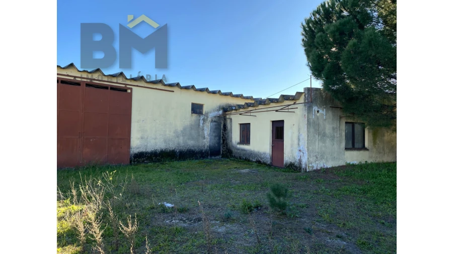 Negócio para Venda em Escalos de Cima e Lousa Foto 38