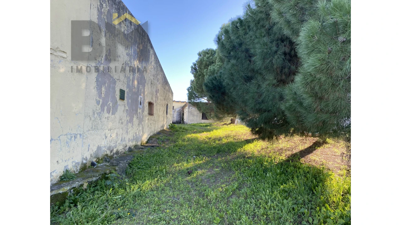 Negócio para Venda em Escalos de Cima e Lousa Foto 34