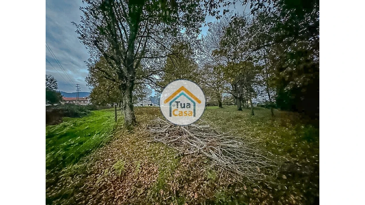 Terreno para Venda em São Pedro do Sul, Várzea e Baiões Foto 17