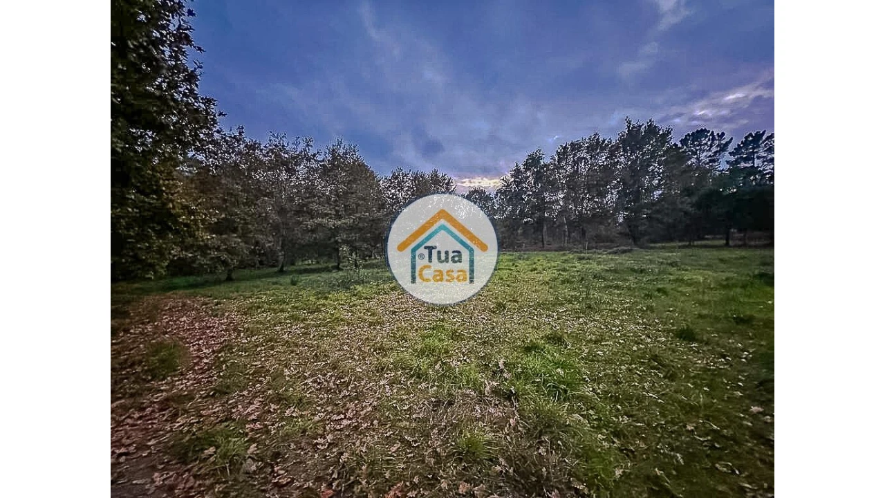 Terreno para Venda em São Pedro do Sul, Várzea e Baiões Foto 12