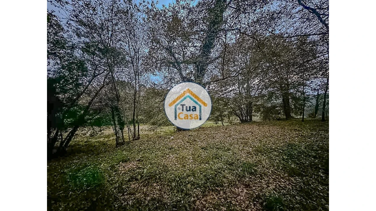 Terreno para Venda em São Pedro do Sul, Várzea e Baiões Foto 13