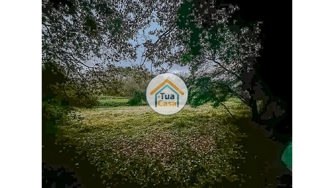 Terreno para Venda em São Pedro do Sul, Várzea e Baiões Foto 11