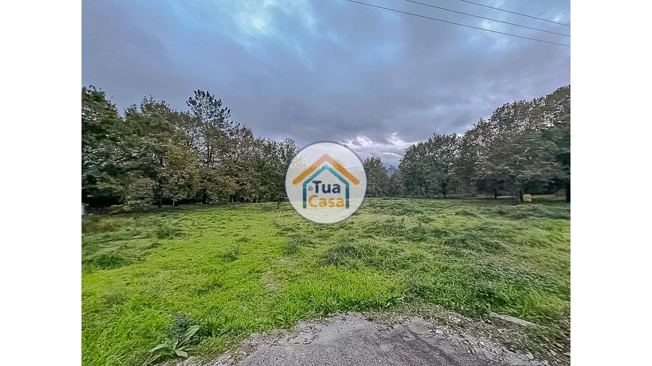 Terreno para Venda em São Pedro do Sul, Várzea e Baiões Foto 5