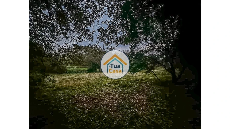 Terreno para Venda em São Pedro do Sul, Várzea e Baiões Foto 14