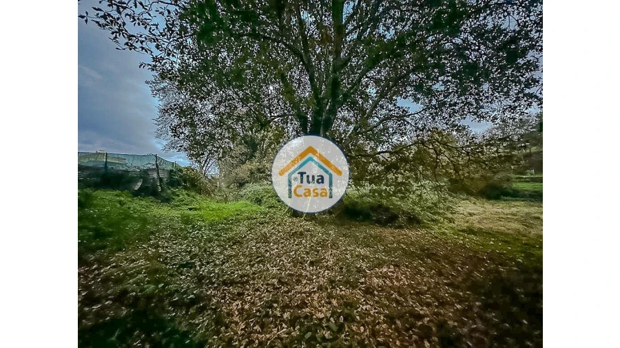 Terreno para Venda em São Pedro do Sul, Várzea e Baiões Foto 6