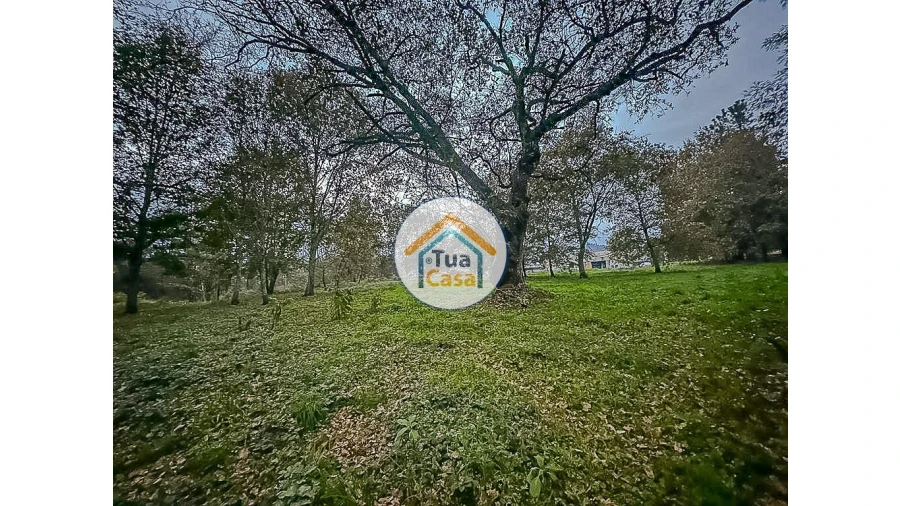 Terreno para Venda em São Pedro do Sul, Várzea e Baiões Foto 8