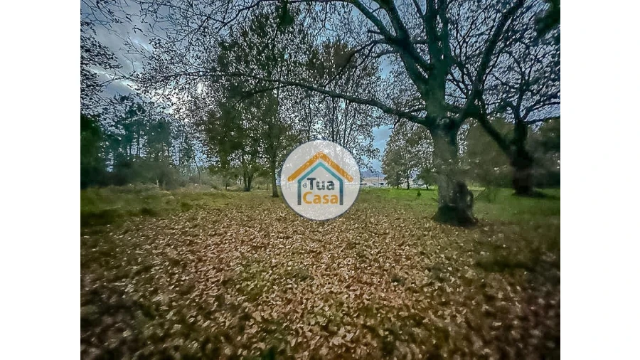 Terreno para Venda em São Pedro do Sul, Várzea e Baiões Foto 3