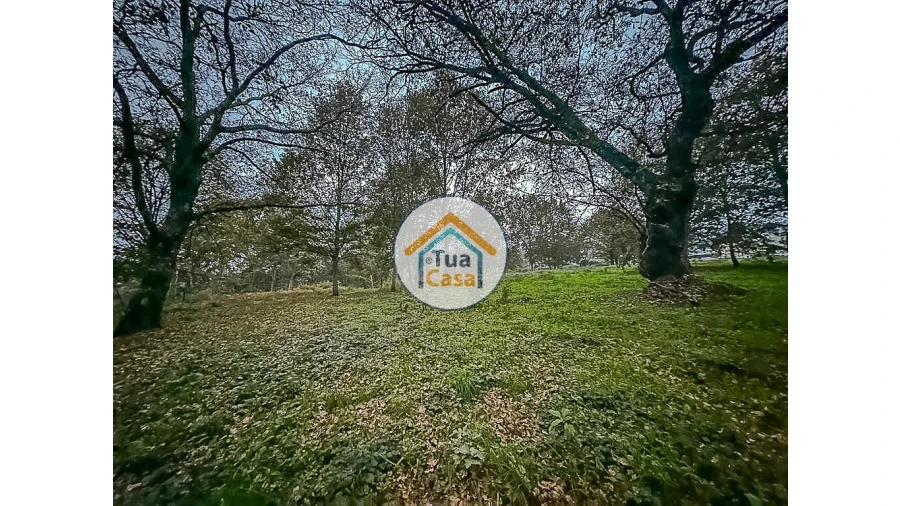 Terreno para Venda em São Pedro do Sul, Várzea e Baiões Foto 10