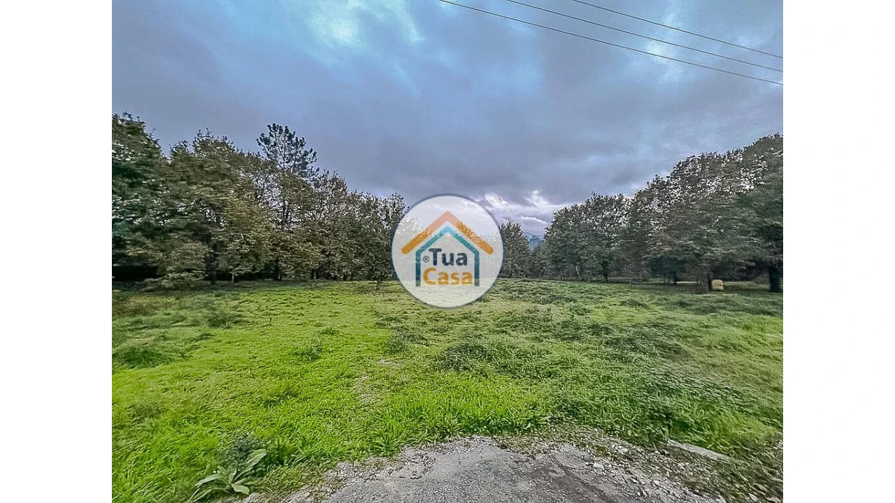 Terreno para Venda em São Pedro do Sul, Várzea e Baiões Foto 9