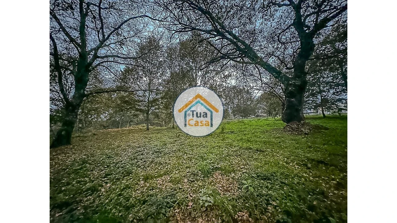 Terreno para Venda em São Pedro do Sul, Várzea e Baiões Foto 10