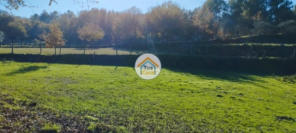 Terreno para Venda em Bodiosa