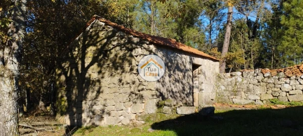 Terreno para Venda em Bodiosa