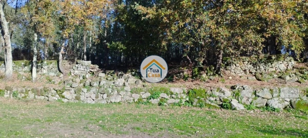 Terreno para Venda em Bodiosa