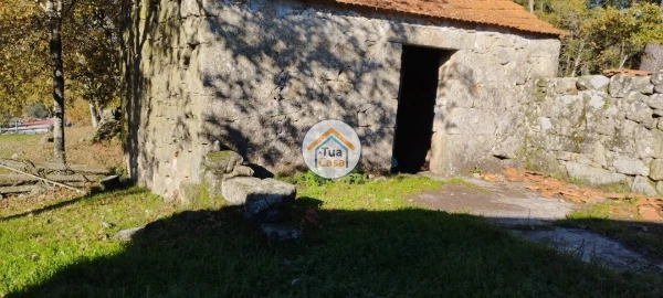 Terreno para Venda em Bodiosa
