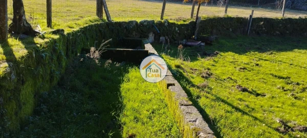 Terreno para Venda em Bodiosa
