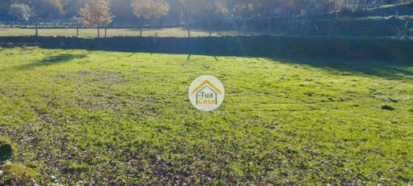 Terreno para Venda em Bodiosa