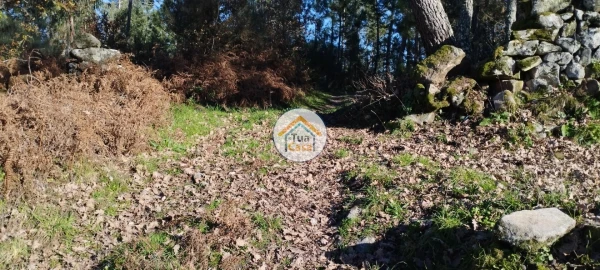 Terreno para Venda em Bodiosa