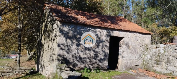 Terreno para Venda em Bodiosa