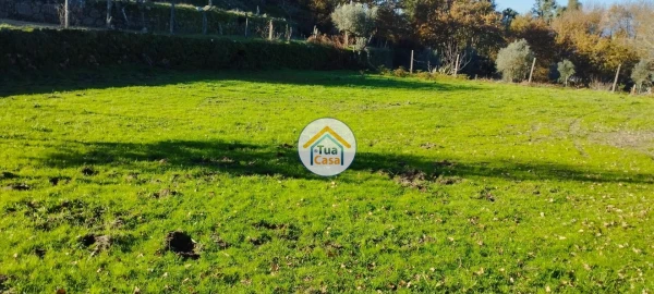Terreno para Venda em Bodiosa