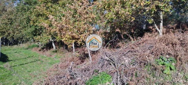 Terreno para Venda em Bodiosa