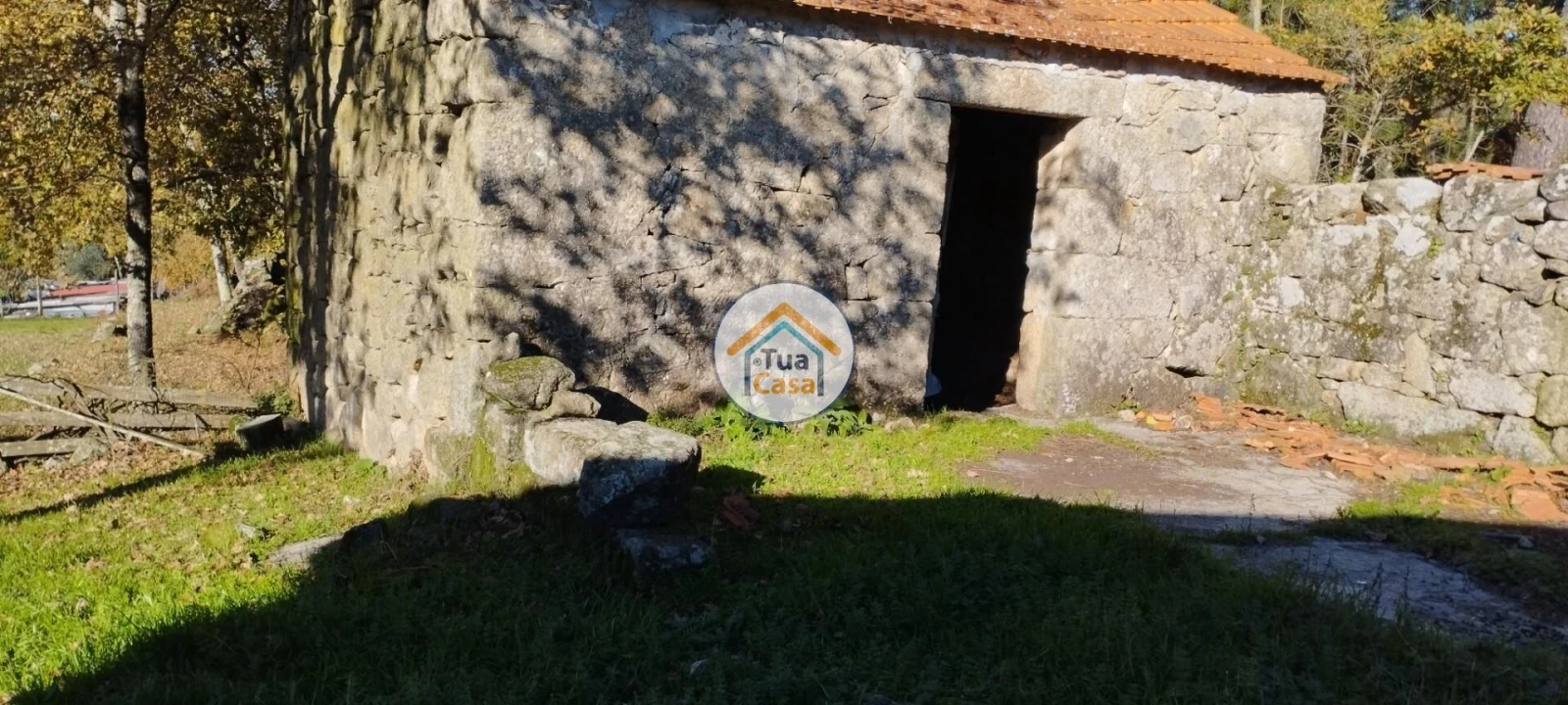 Terreno para Venda em Bodiosa Foto 5