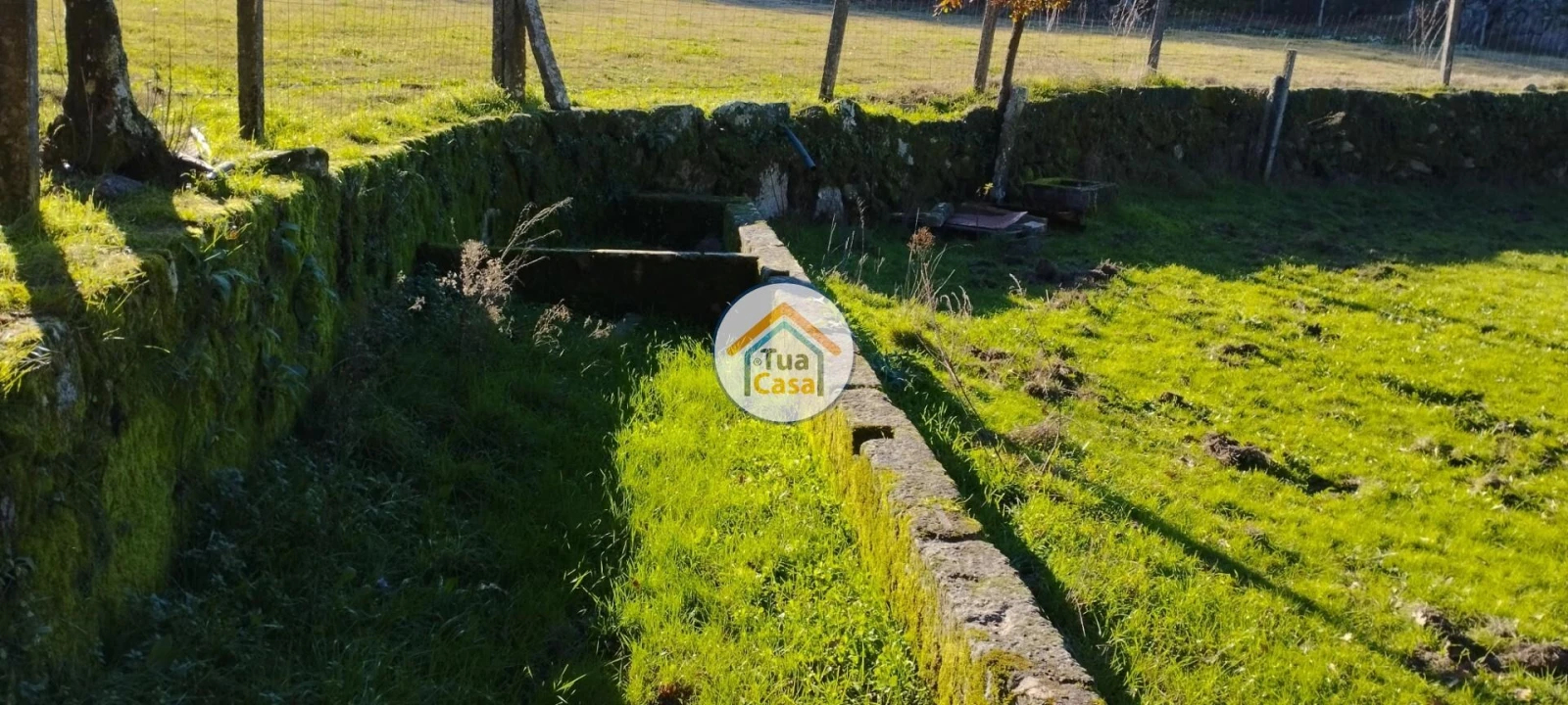 Terreno para Venda em Bodiosa Foto 12