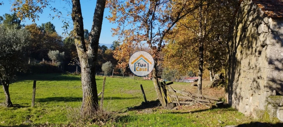 Terreno para Venda em Bodiosa Foto 6