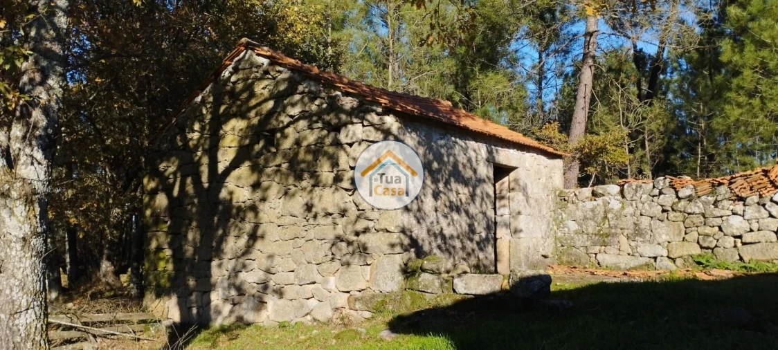 Terreno para Venda em Bodiosa Foto 2