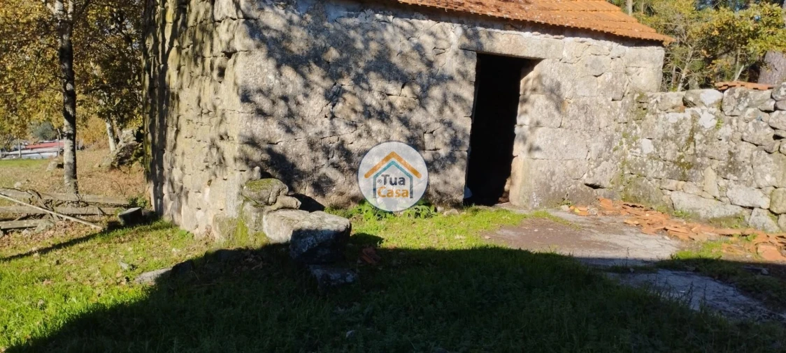 Terreno para Venda em Bodiosa Foto 5