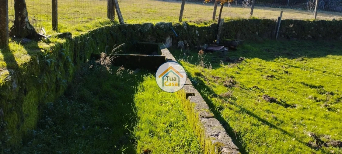 Terreno para Venda em Bodiosa Foto 12