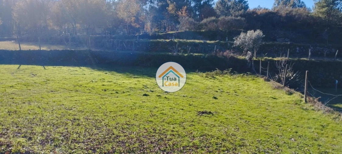Terreno para Venda em Bodiosa Foto 10