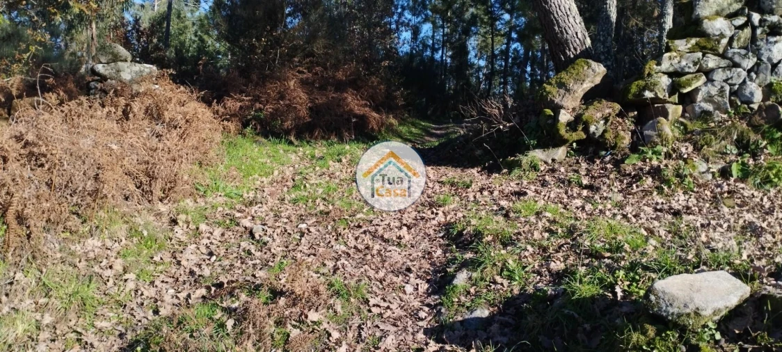 Terreno para Venda em Bodiosa Foto 15