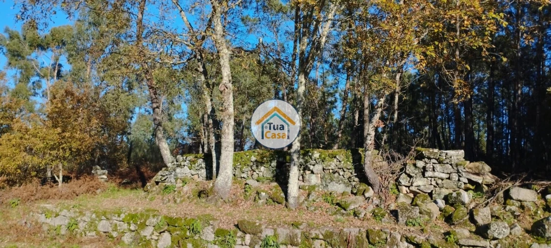 Terreno para Venda em Bodiosa Foto 17
