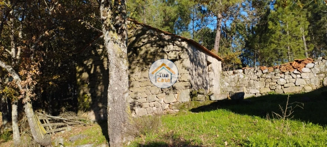Terreno para Venda em Bodiosa Foto 3