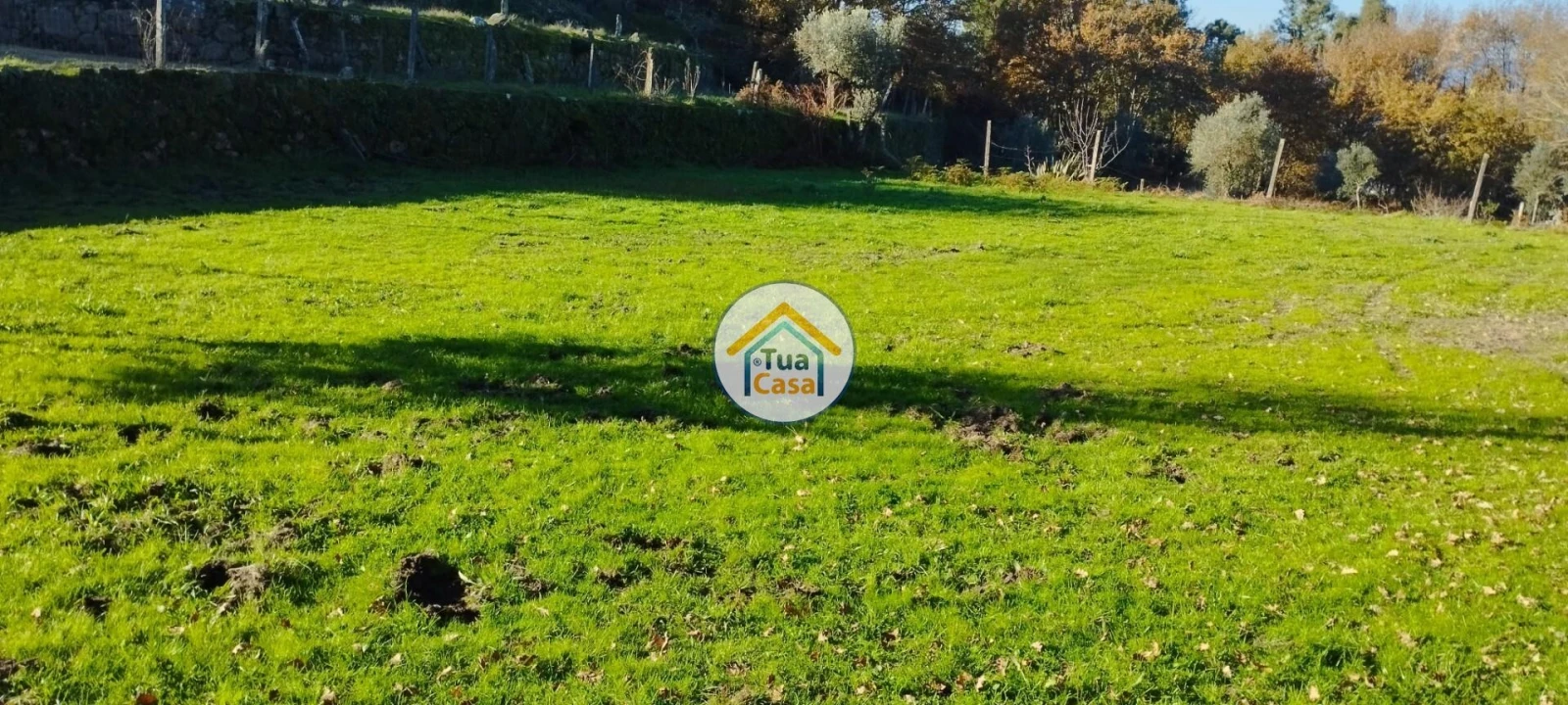 Terreno para Venda em Bodiosa Foto 11