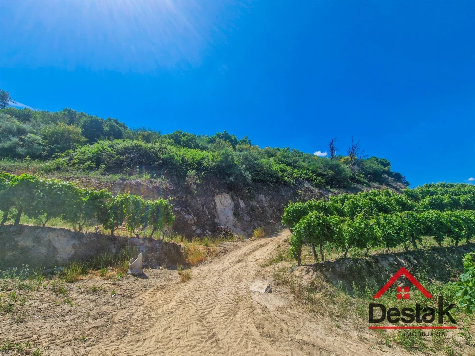 Terreno para Venda em Barqueiros Foto 3