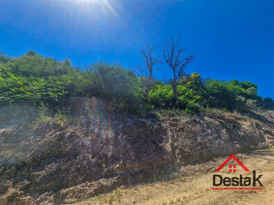 Terreno para Venda em Barqueiros Foto 4