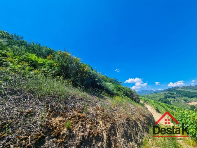 Terreno para Venda em Barqueiros Foto 6