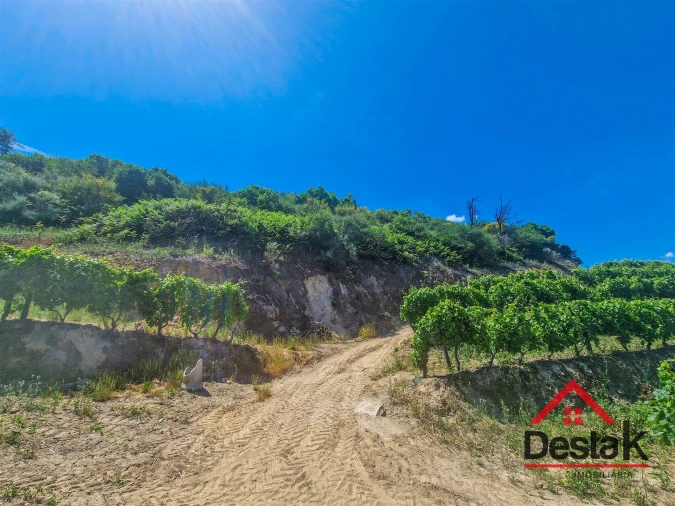 Terreno para Venda em Barqueiros Foto 3