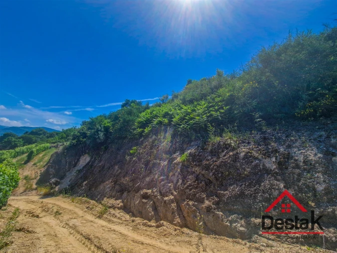 Terreno para Venda em Barqueiros Foto 5