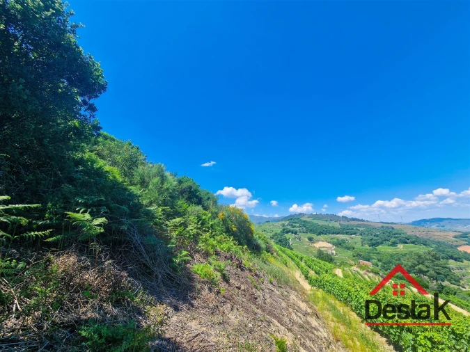 Terreno para Venda em Barqueiros Foto 8