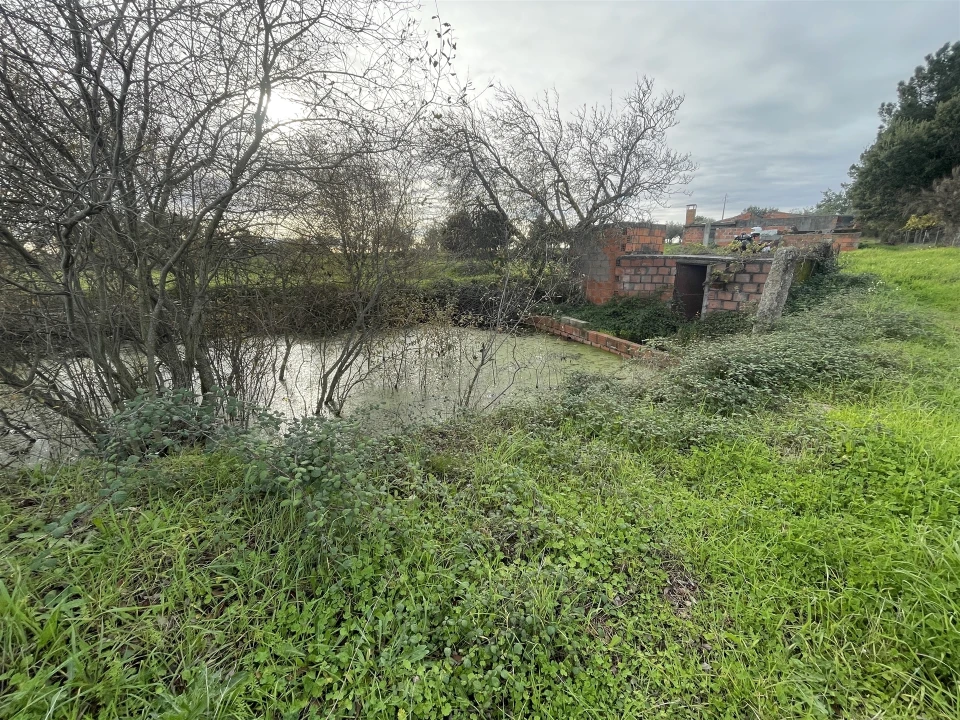 Terreno Agricola ou Rústico para Venda em Soalheira Foto 9
