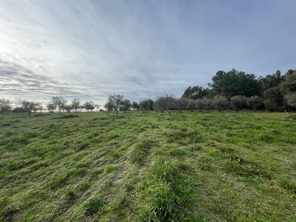 Terreno Agricola ou Rústico para Venda em Soalheira Foto 19