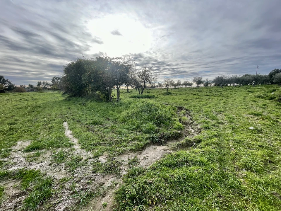Terreno Agricola ou Rústico para Venda em Soalheira Foto 15